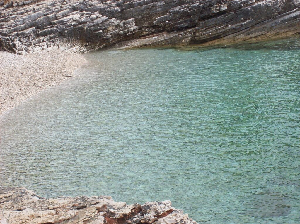 Zdjęcie umieszczone na podst. licencji Creative Commons, pobrane z Wikipedii dn. 26/11/2025