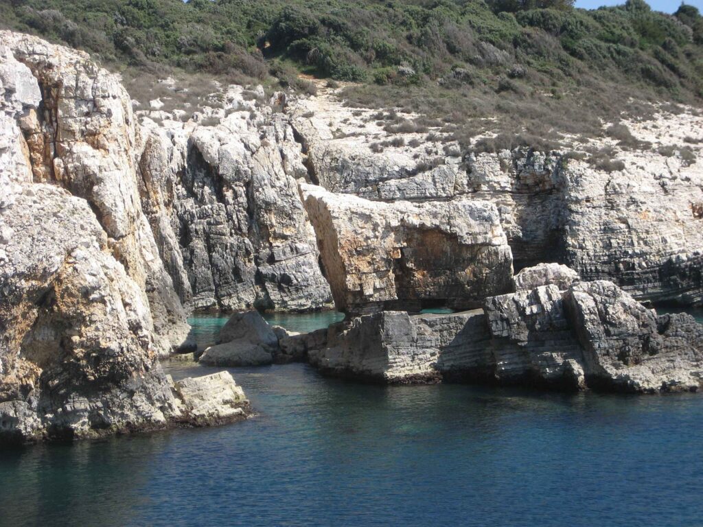 Zdjęcie umieszczone na podst. licencji Creative Commons, pobrane z Wikipedii dn. 26/11/2025