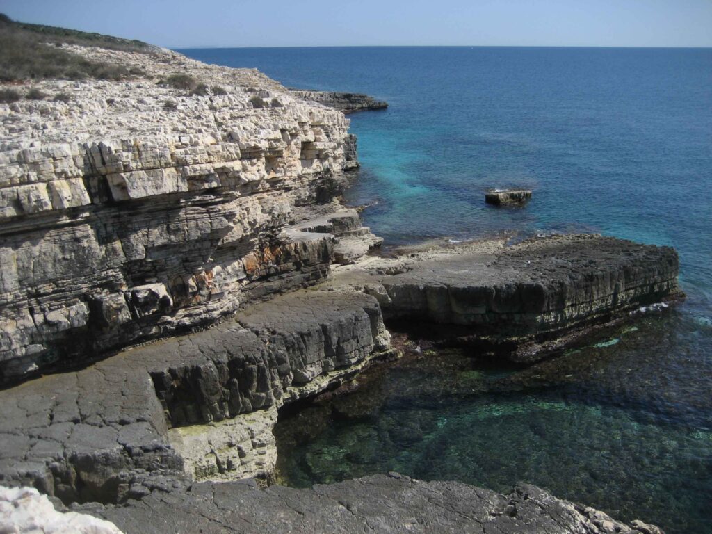 Zdjęcie umieszczone na podst. licencji Creative Commons, pobrane z Wikipedii dn. 26/11/2025